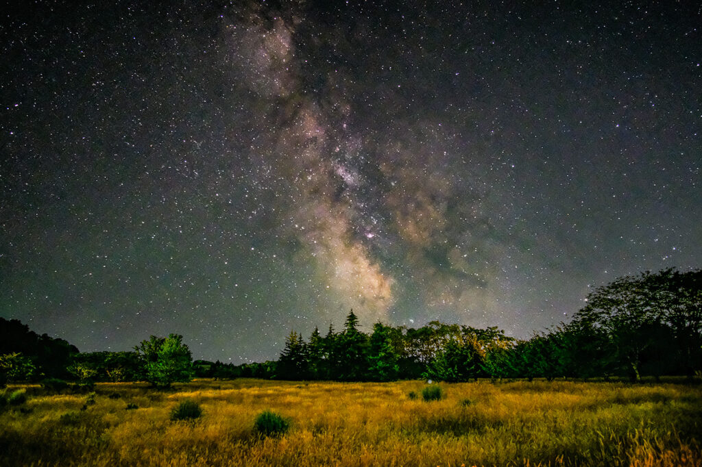 Milky Way Over Field